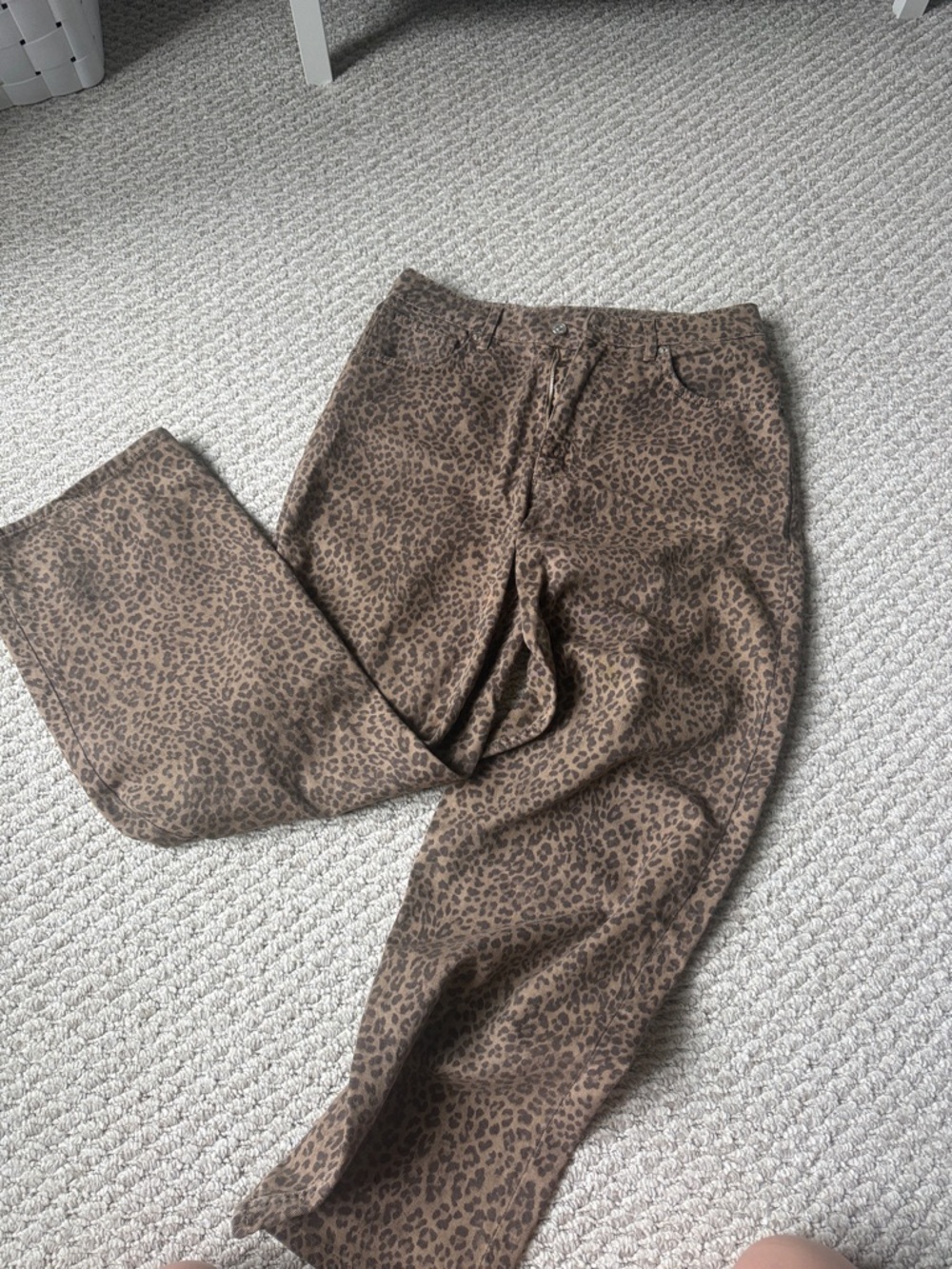 Zara cheetah print pants
